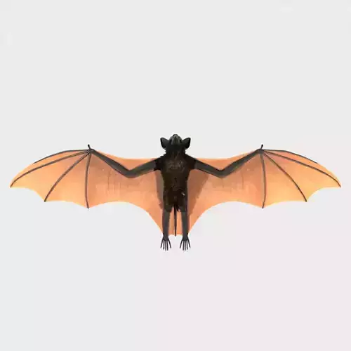 Giant Bat 3D model