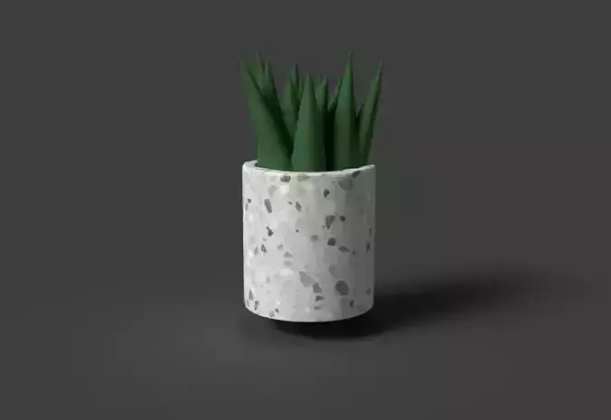 Small Vase