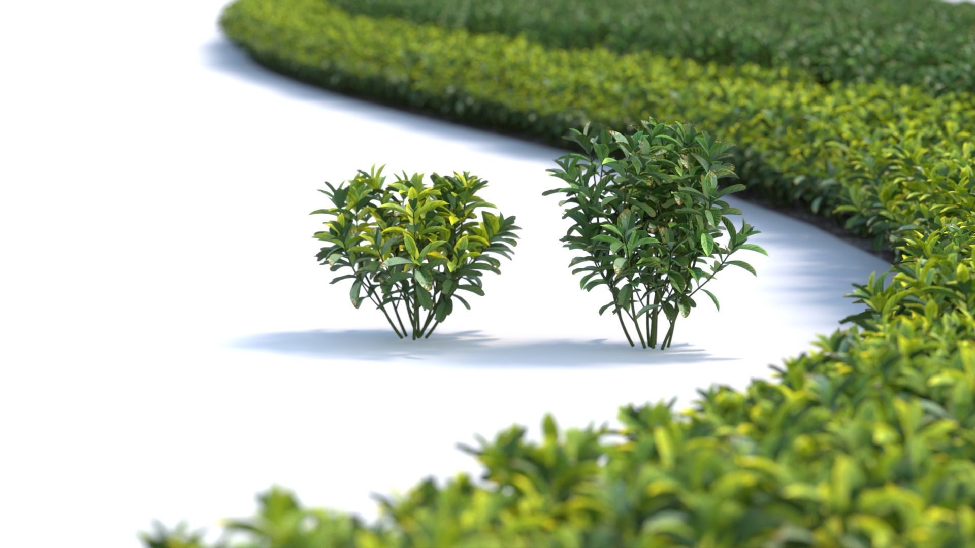 3D Landscape and shrub 3D models 3D model_3