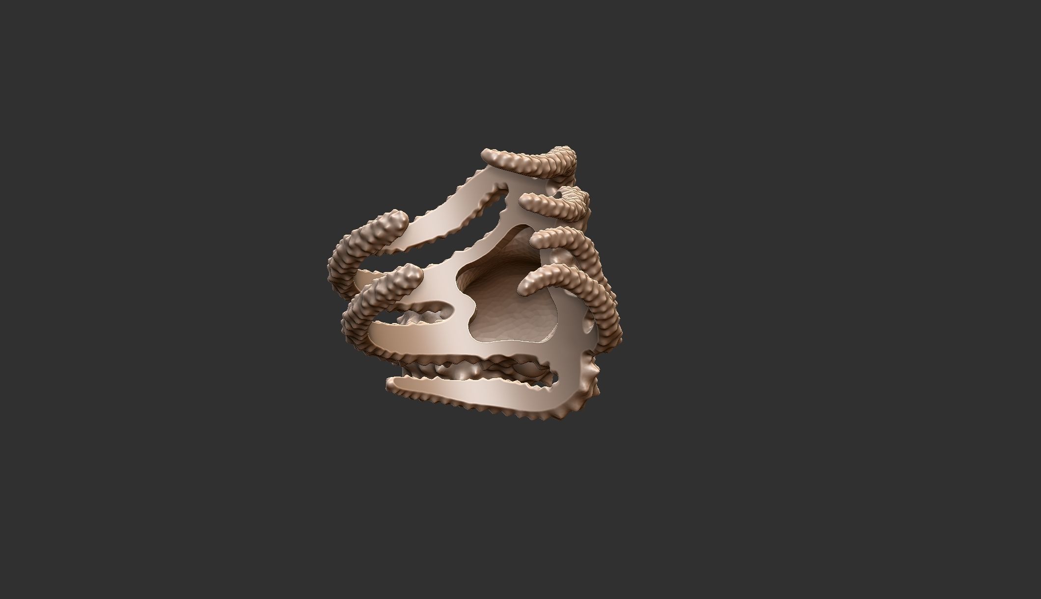 Octopus Ring 3D print model_5