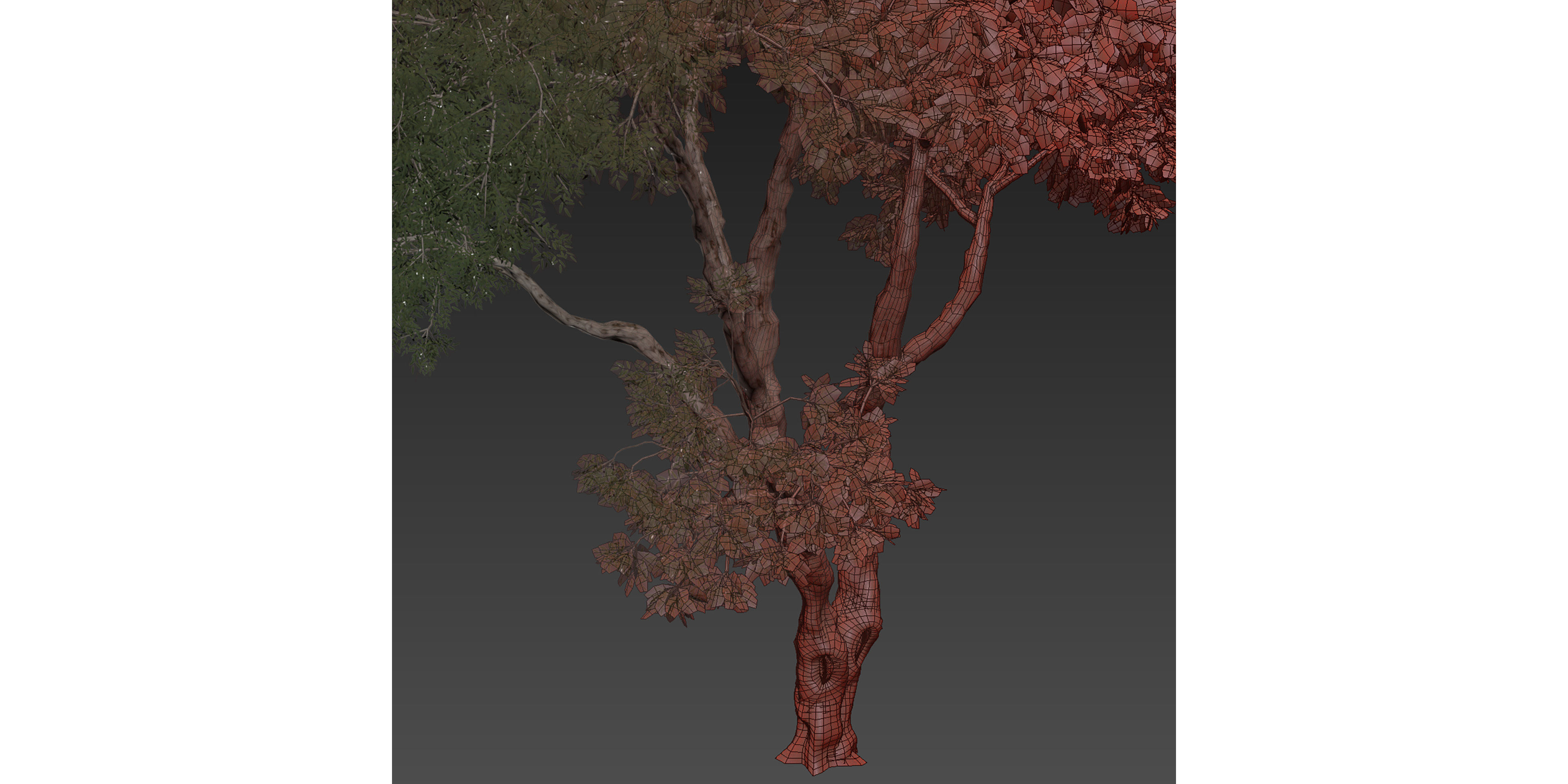 Collection plant vol 572 - Eucalyptus - Pauciflora - blender 3D model_6