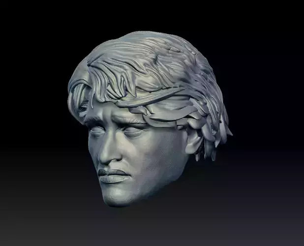 Corey Cunningham Head 3D print model