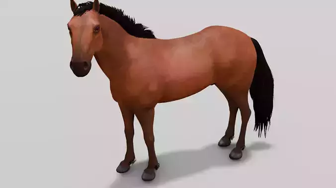 Horse 3D Model