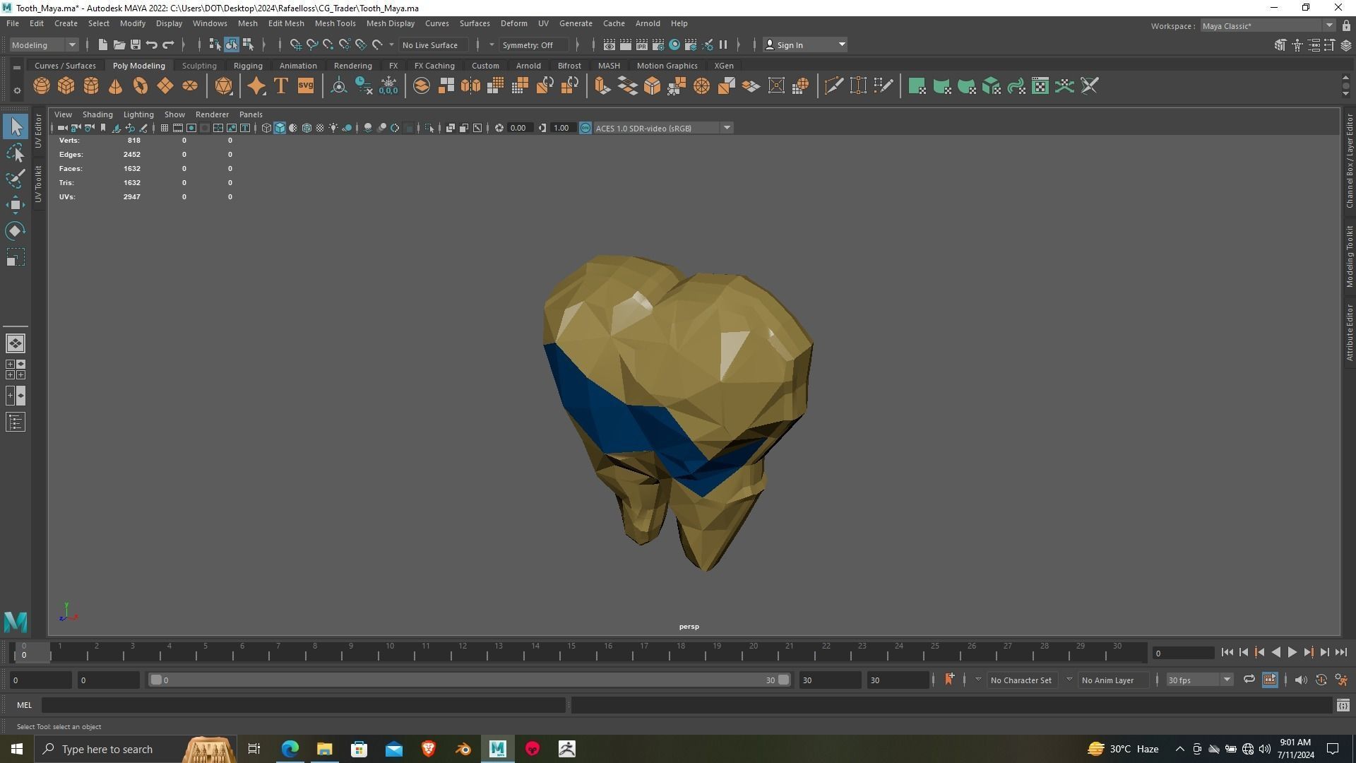Tooth 3D printing ready Model for dental chamber 3D print model_9