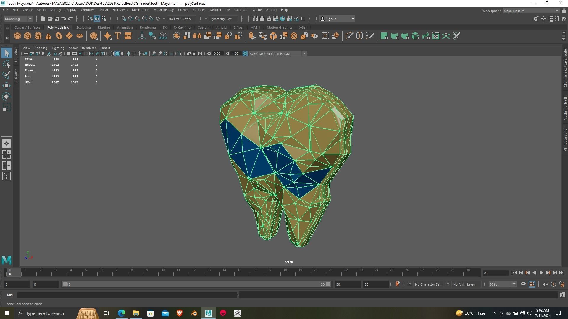 Tooth 3D printing ready Model for dental chamber 3D print model_12