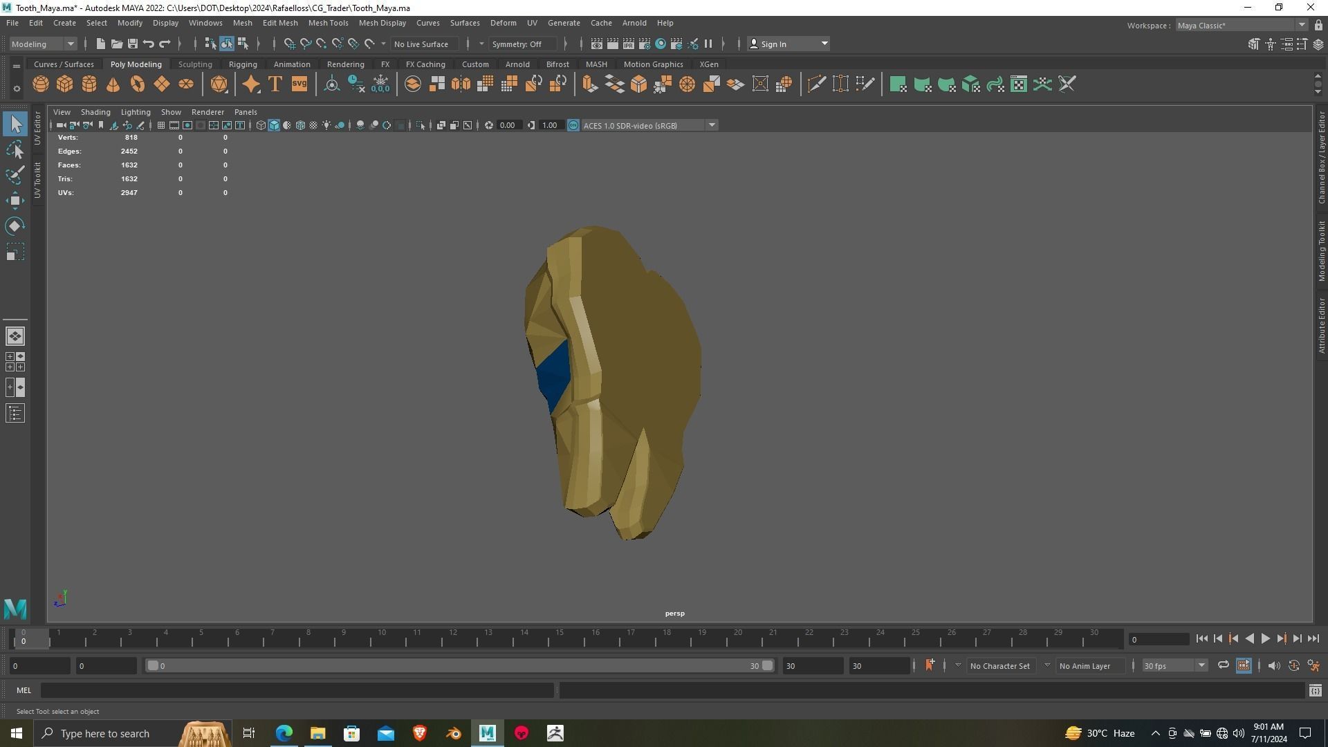 Tooth 3D printing ready Model for dental chamber 3D print model_8