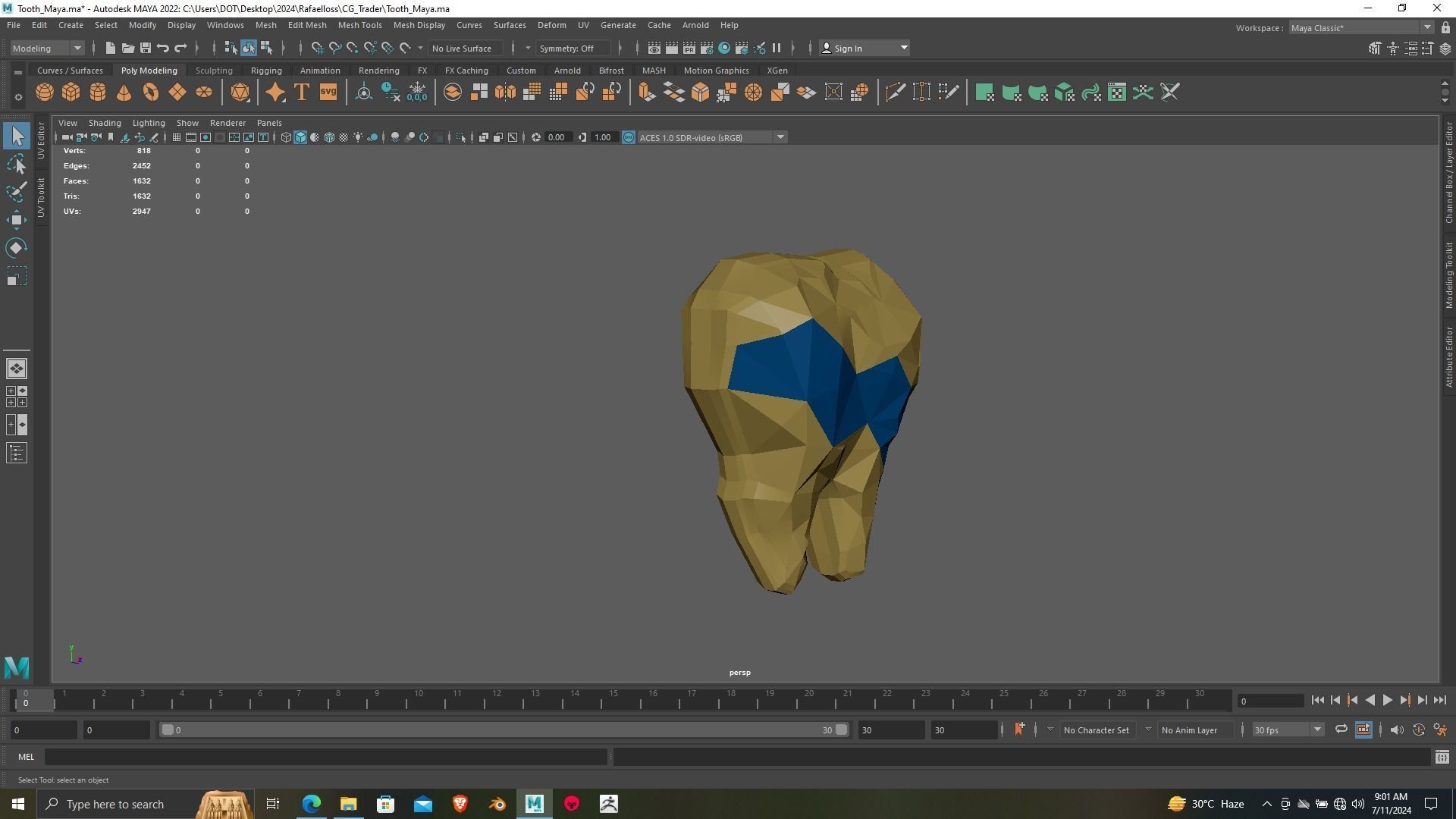 Tooth 3D printing ready Model for dental chamber 3D print model_7