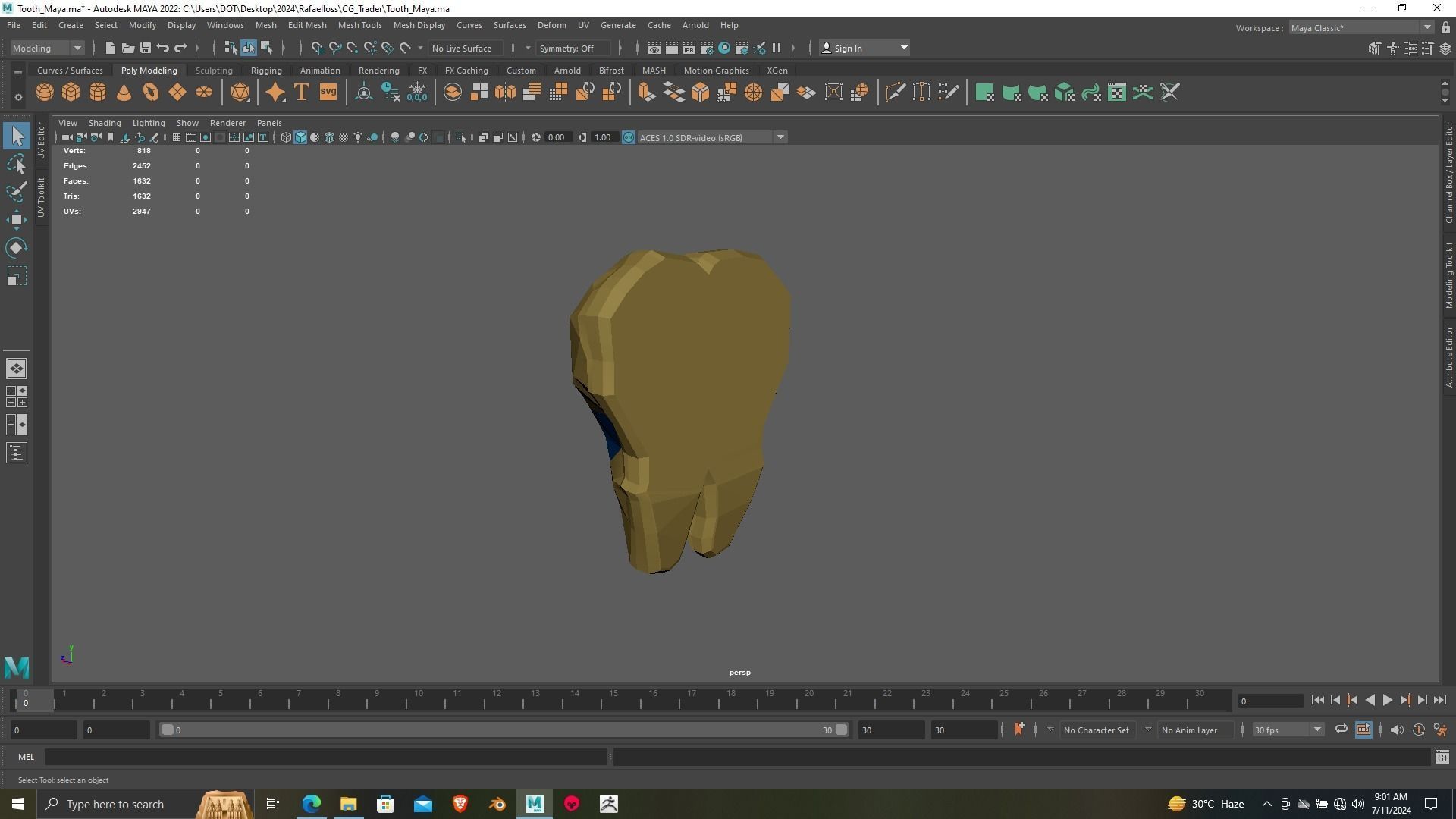 Tooth 3D printing ready Model for dental chamber 3D print model_6