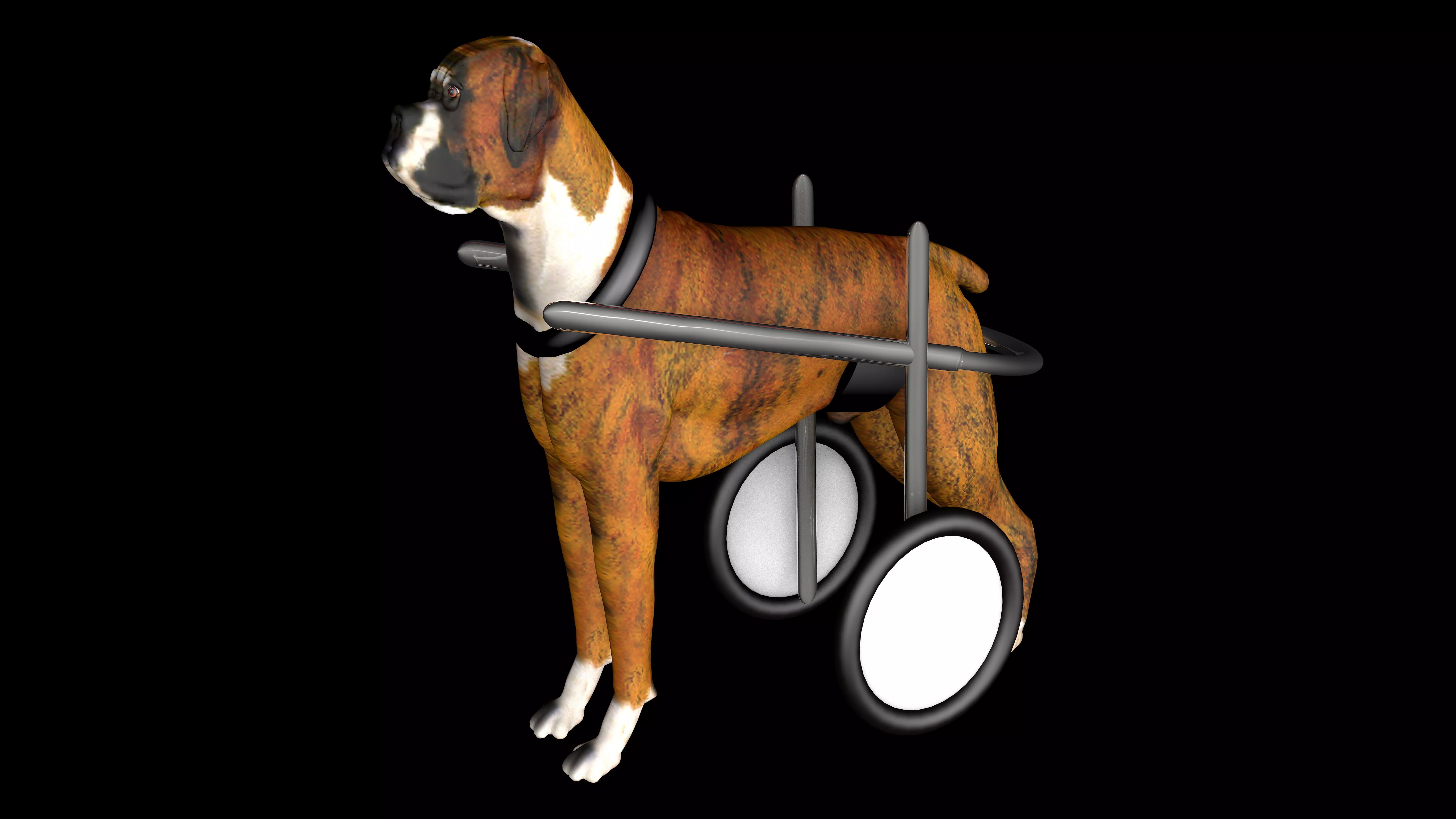 Dog Wheelchair 3D model