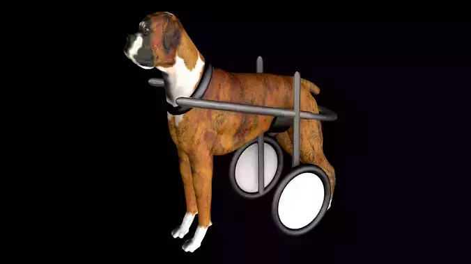 Dog Wheelchair 3D model