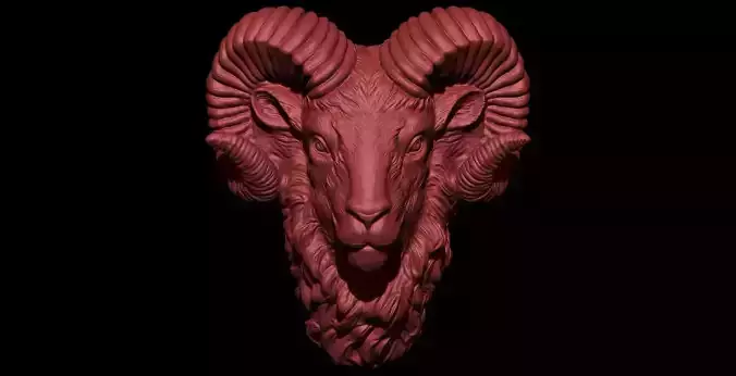 RAM HEAD 