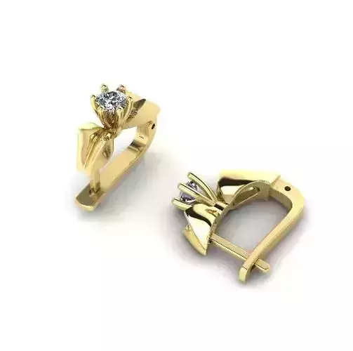 Earrings N012465