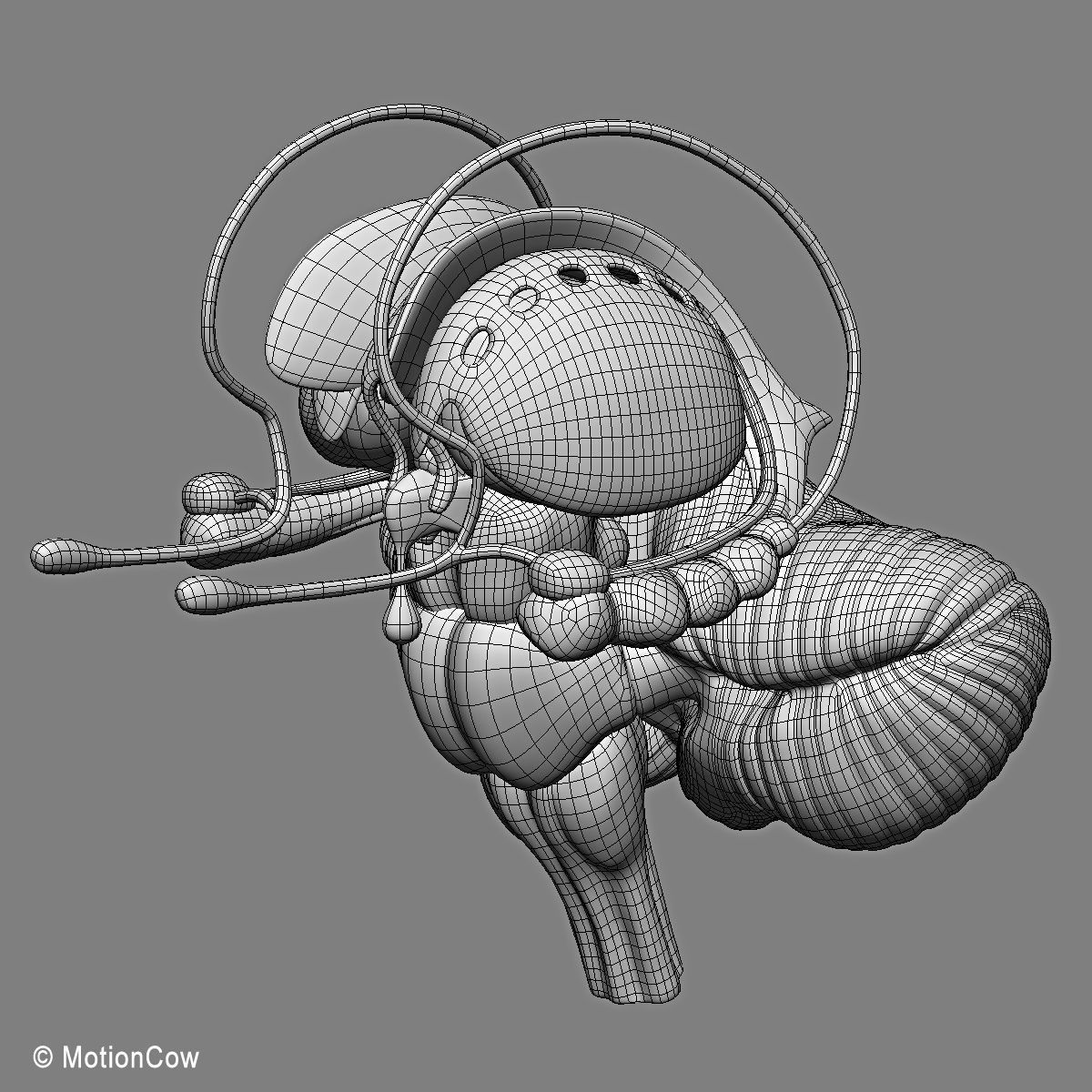 Ultimate Human Anatomy - Rigged 3D model_104