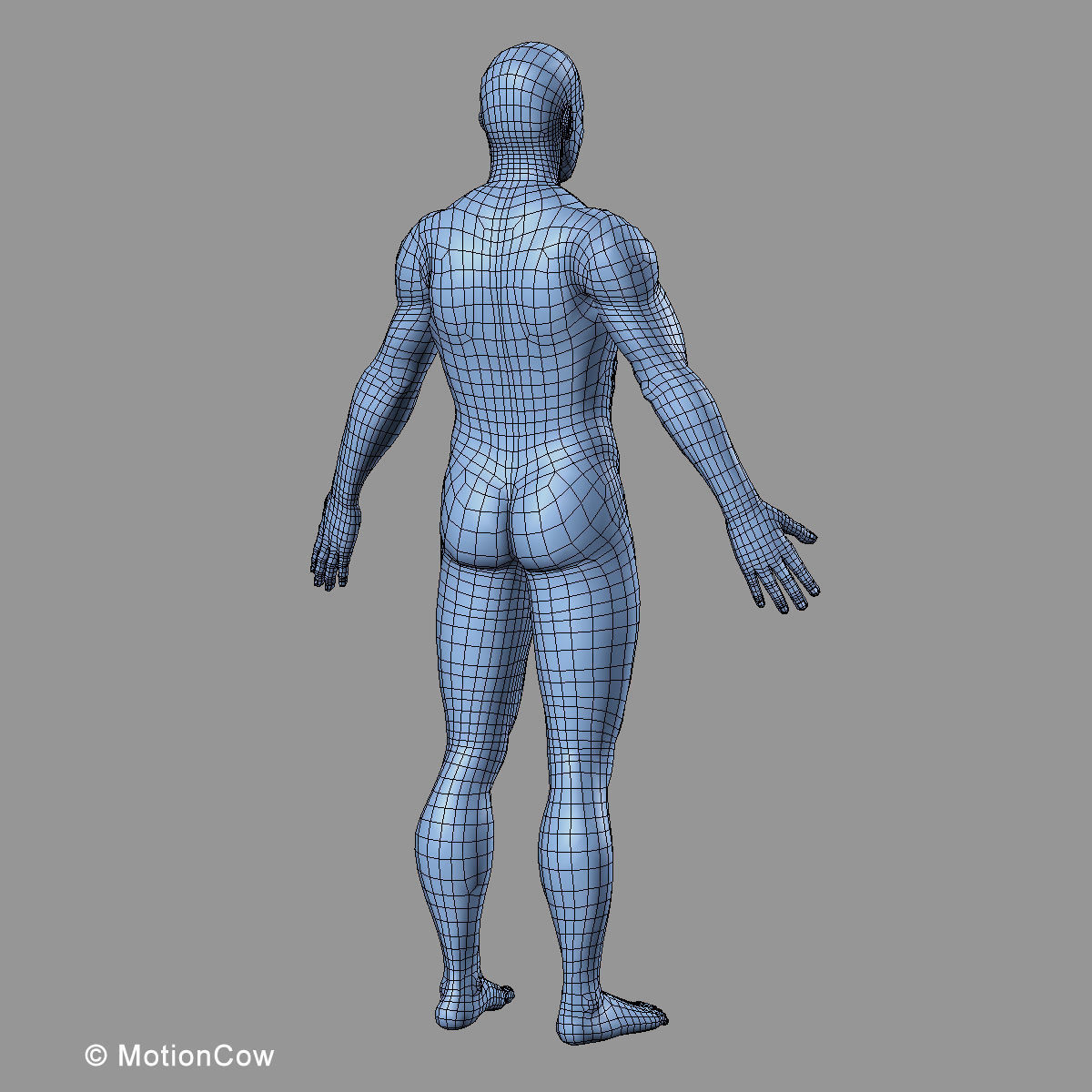 Ultimate Human Anatomy - Rigged 3D model_106