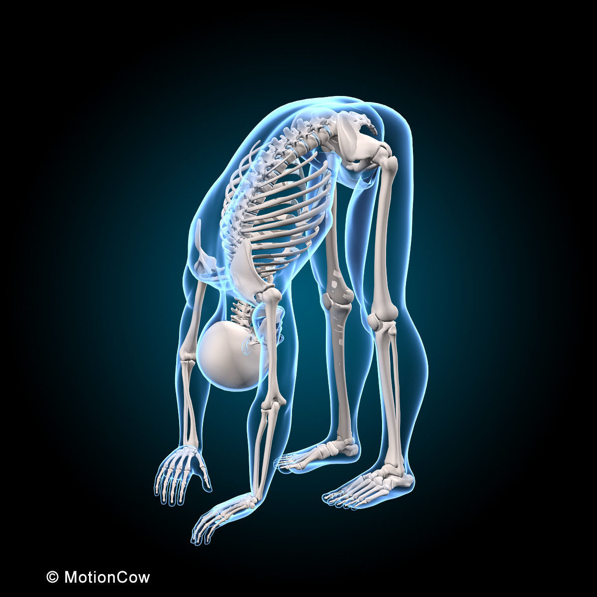 Ultimate Human Anatomy - Rigged 3D model_54