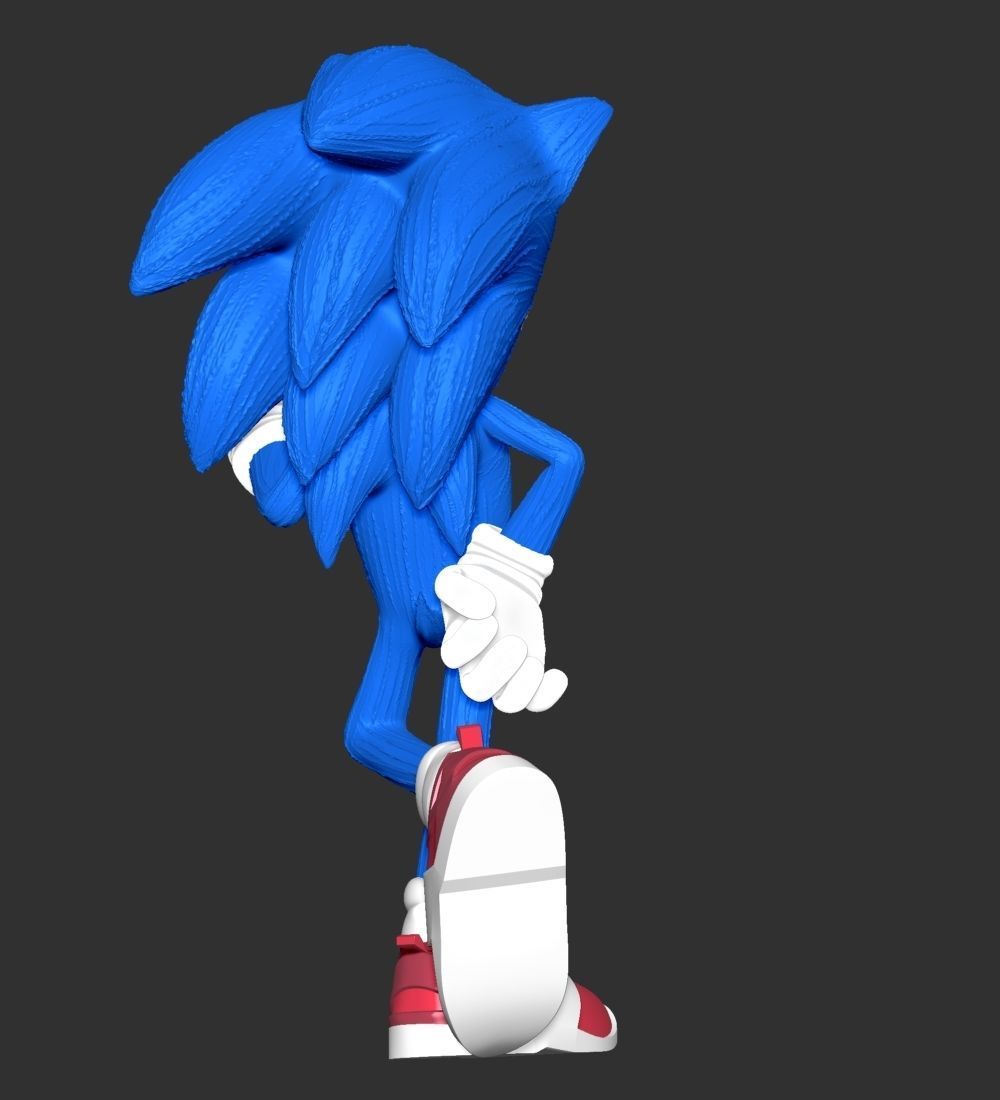 The Sonic 3D print model_9