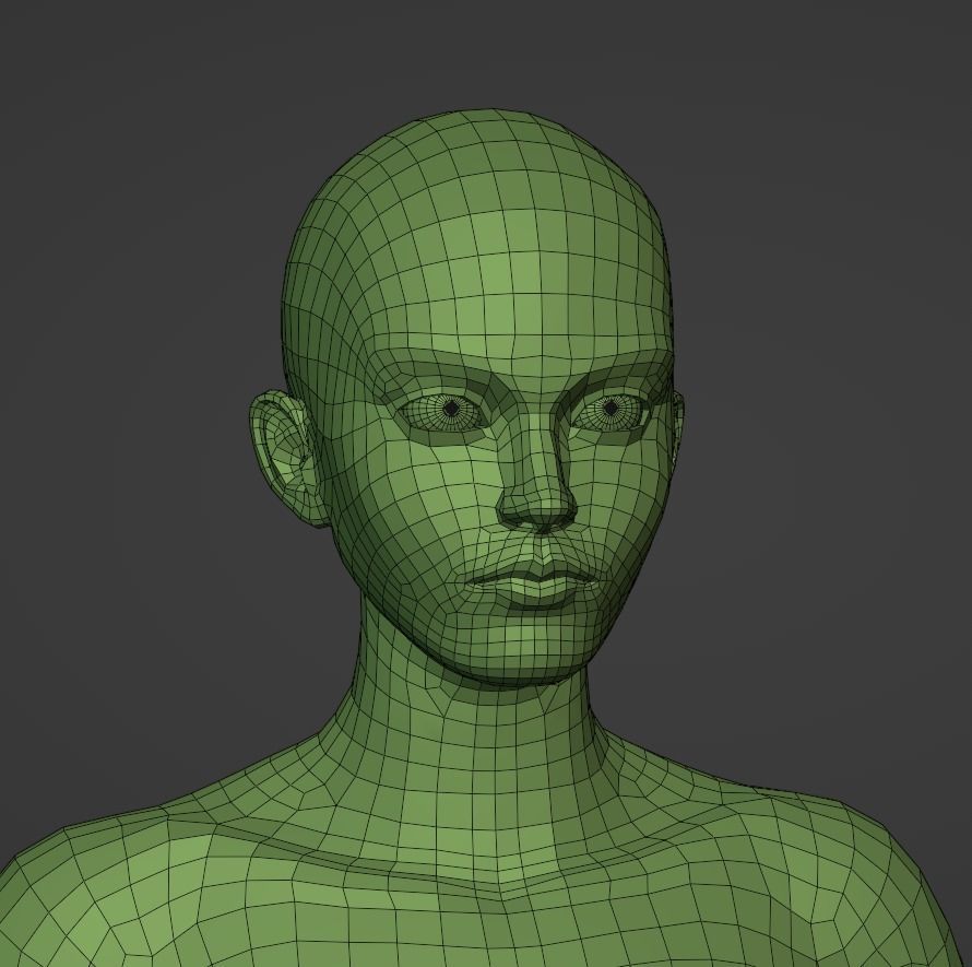 Stylized Female Anatomy Basemesh 3D model_4