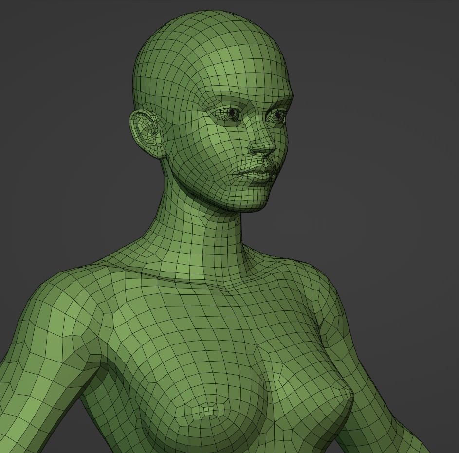Stylized Female Anatomy Basemesh 3D model_5