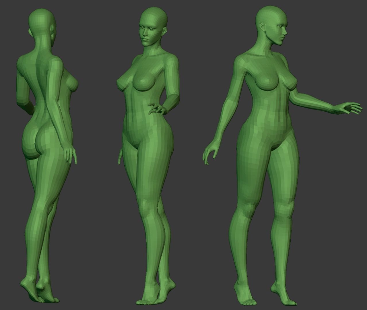 Stylized Female Anatomy Basemesh 3D model_7