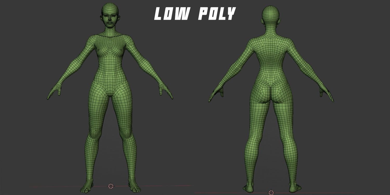 Stylized Female Anatomy Basemesh 3D model_2