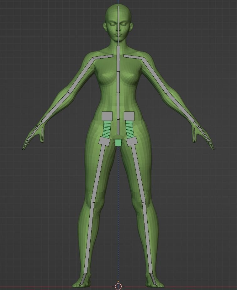Stylized Female Anatomy Basemesh 3D model_6