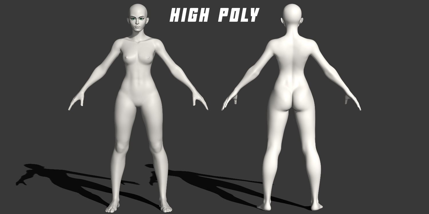 Stylized Female Anatomy Basemesh 3D model_1