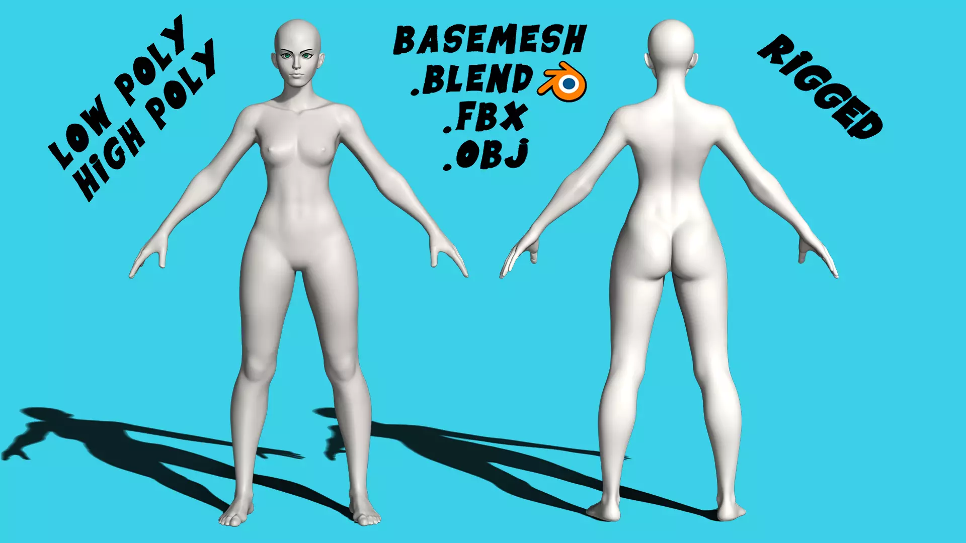 Stylized Female Anatomy Basemesh 3D model_0