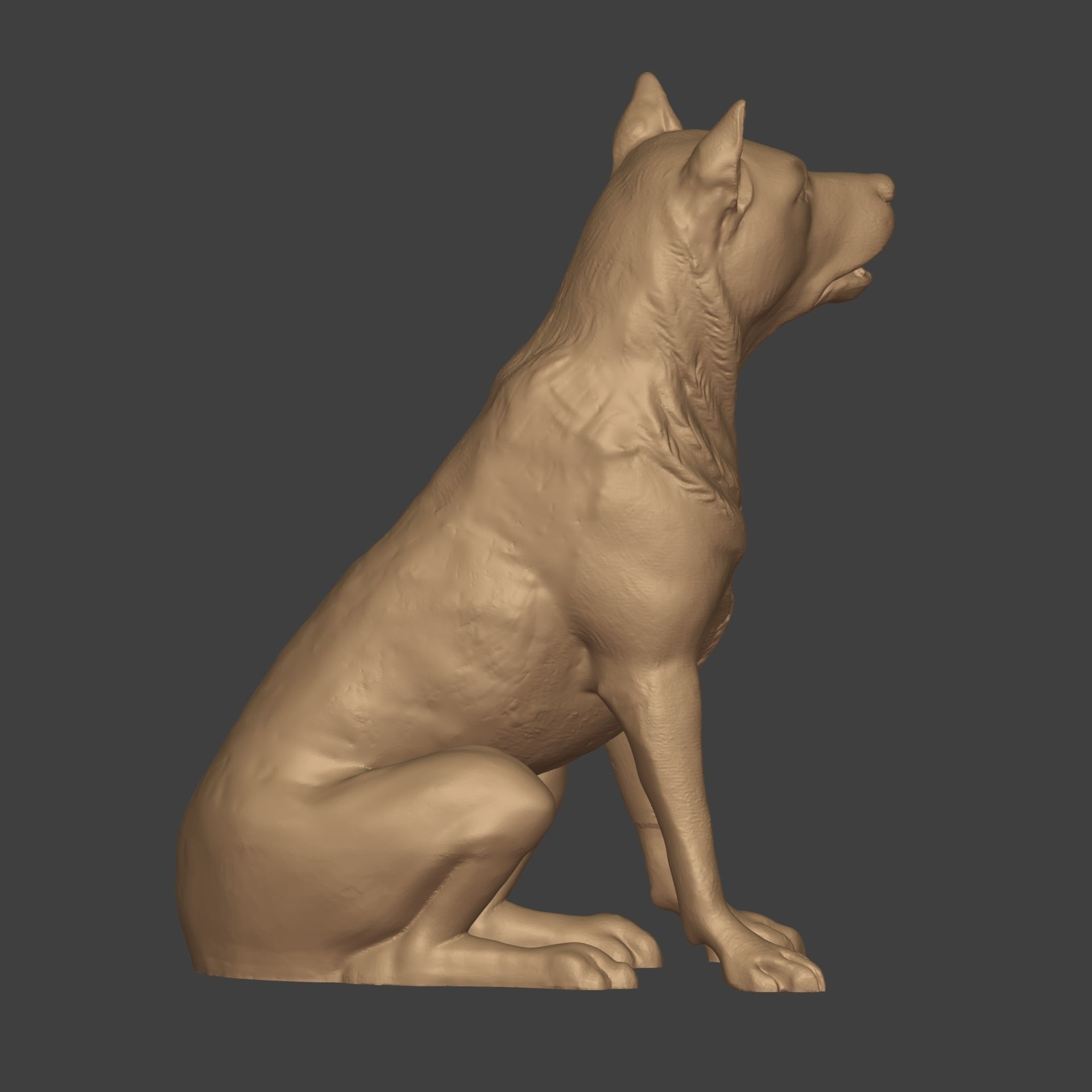 Dog Statue 3D print model_5