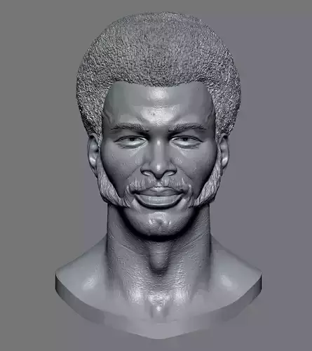 Archie Griffin Head 3D print model