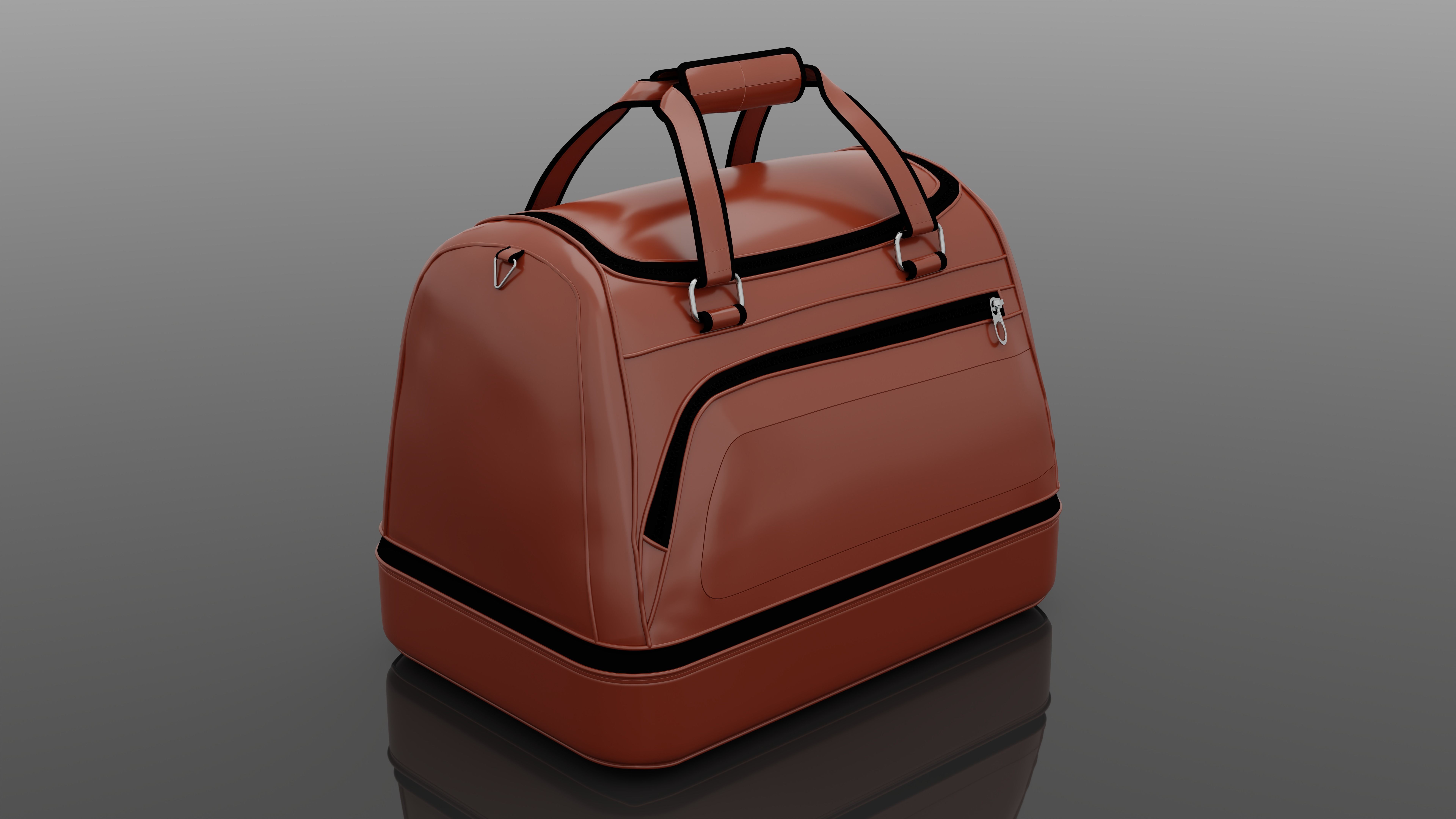 Handbag Generic 3D model_3