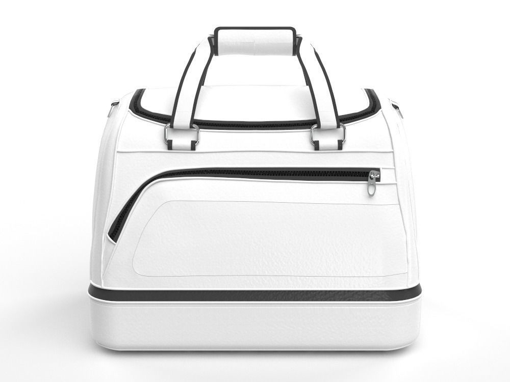 Handbag Generic 3D model_1