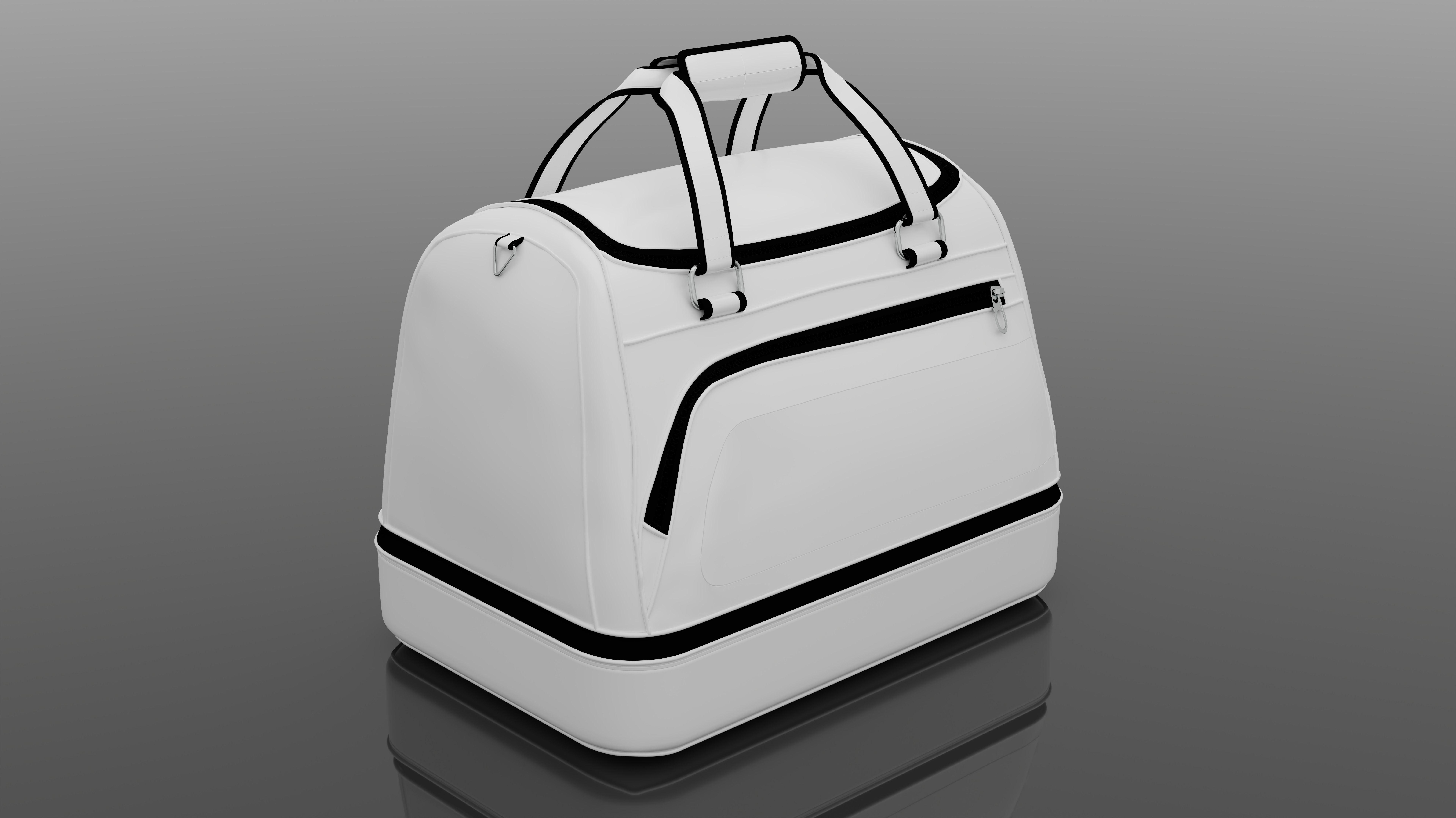 Handbag Generic 3D model_2