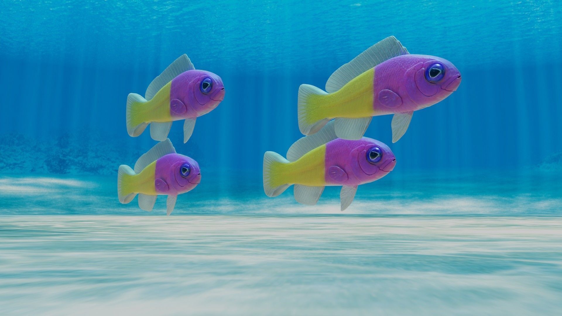 Bicolor Dottyback Fish 3D model_4