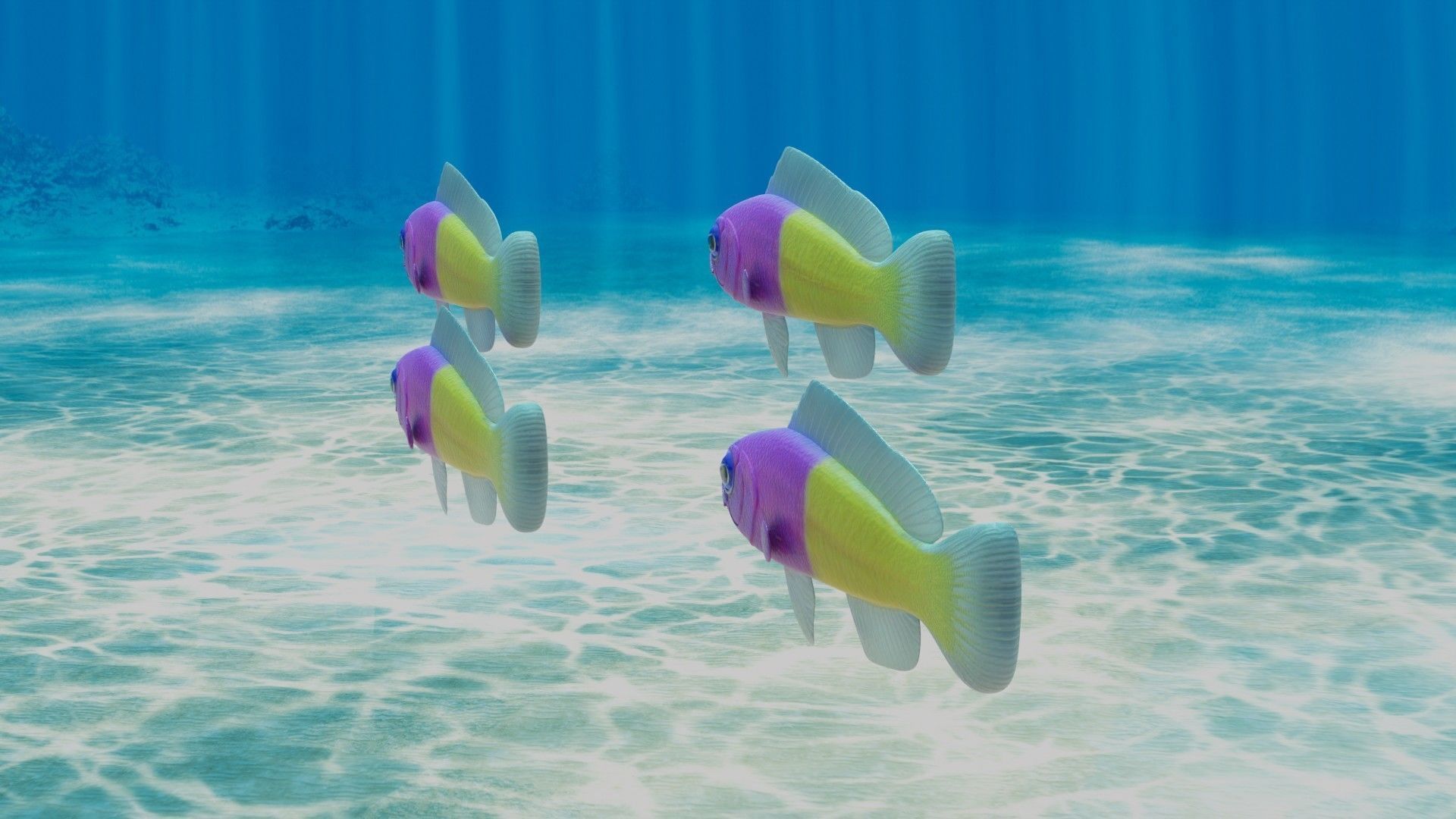 Bicolor Dottyback Fish 3D model_2