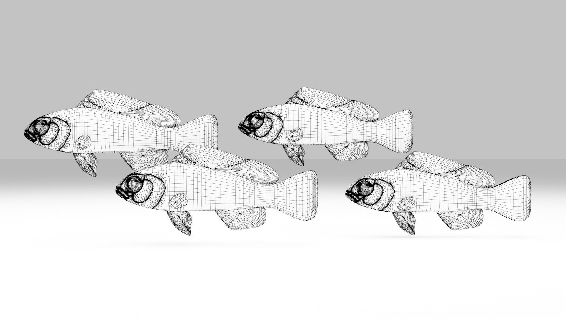 Bicolor Dottyback Fish 3D model_6