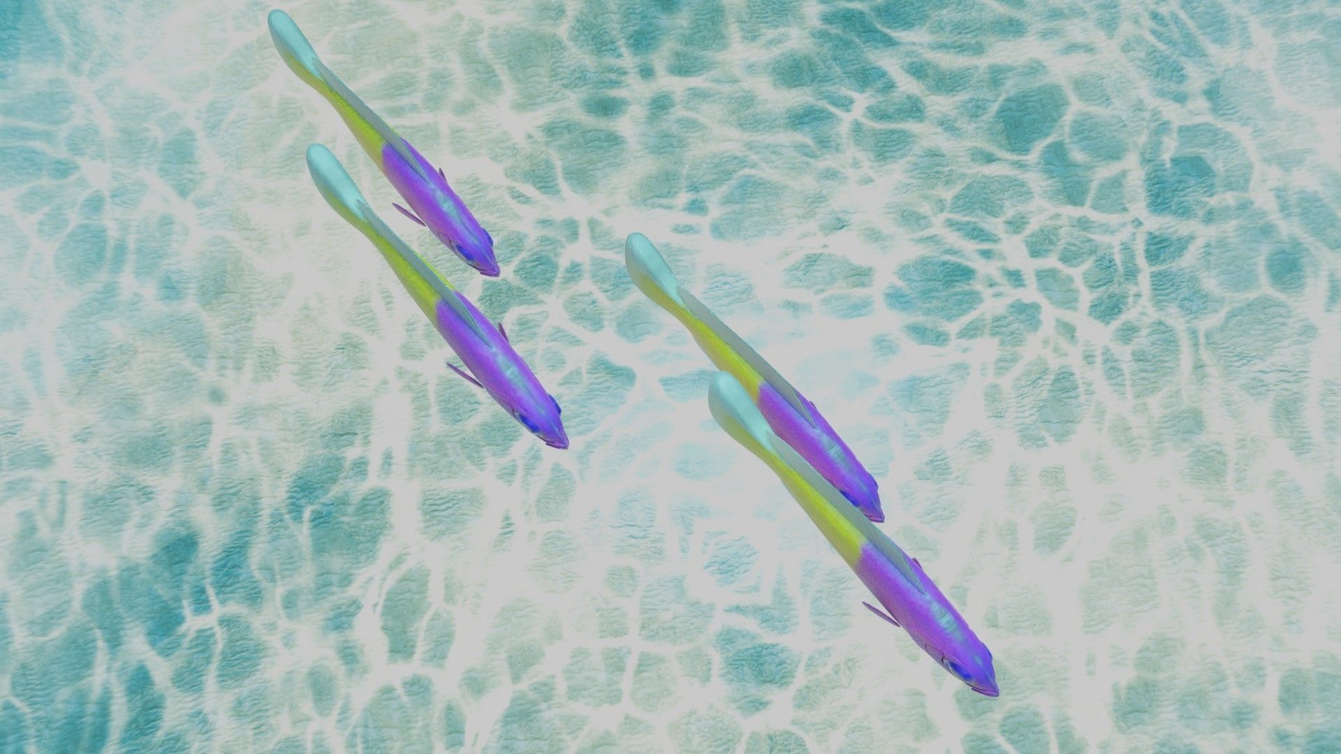 Bicolor Dottyback Fish 3D model_5