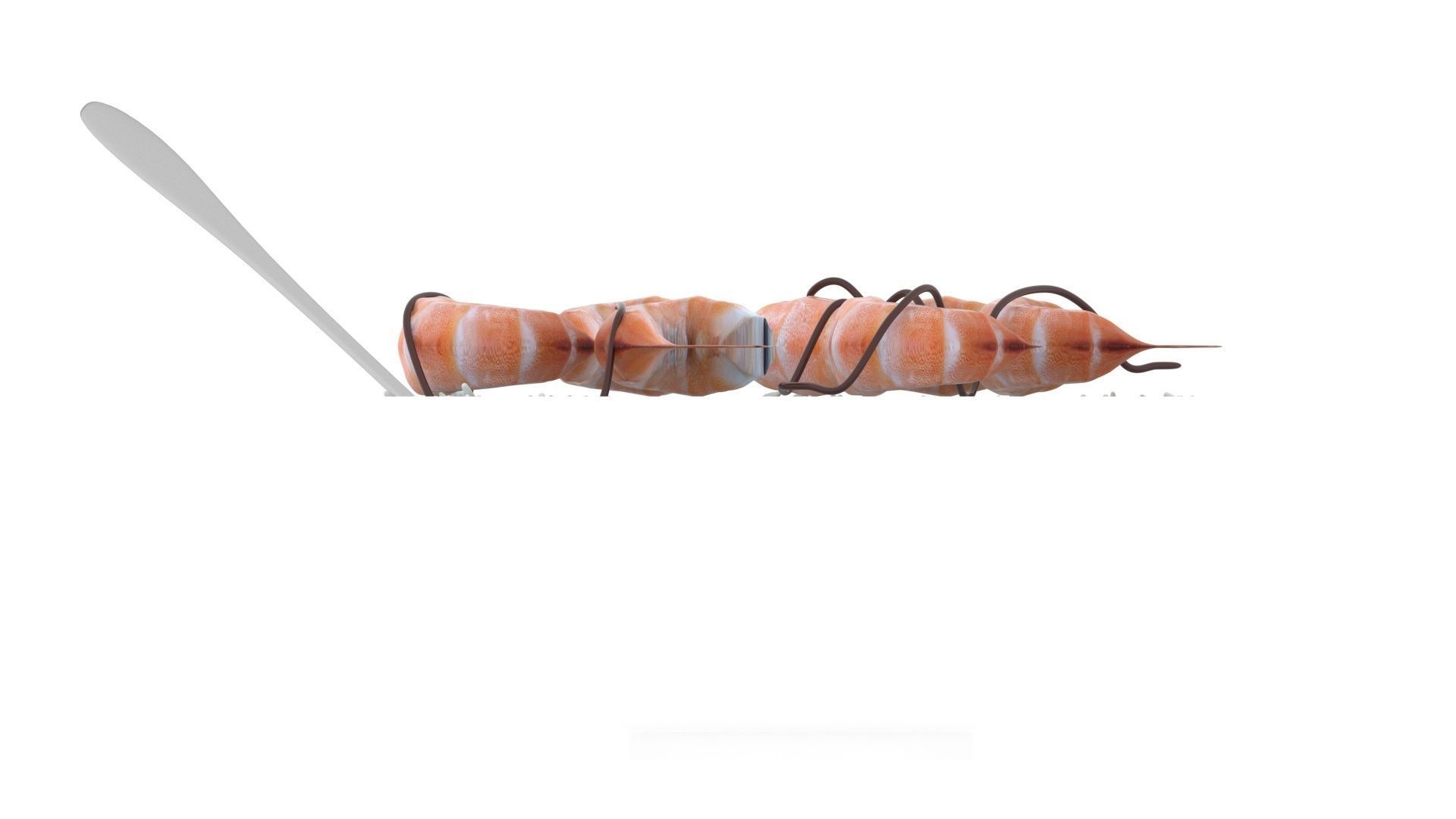 Rice With Shrimps 3D model_15