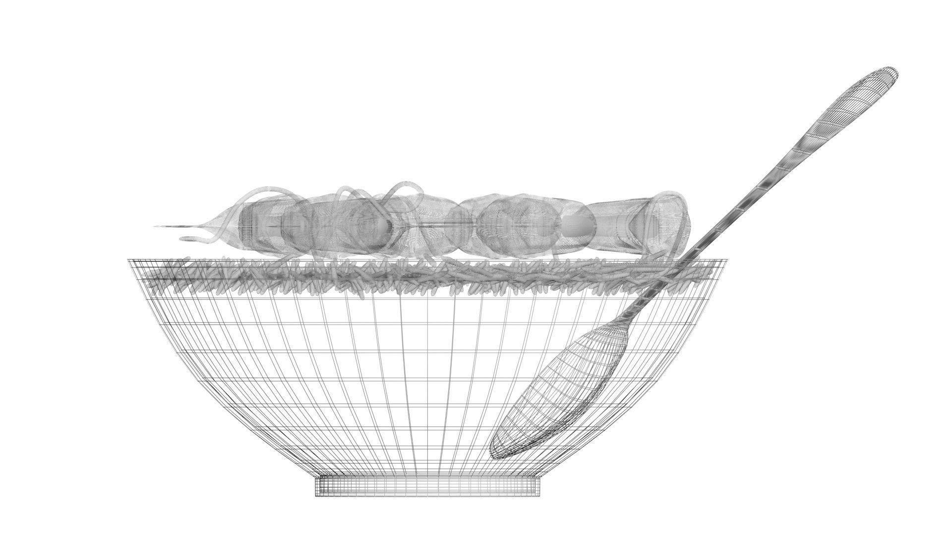 Rice With Shrimps 3D model_29
