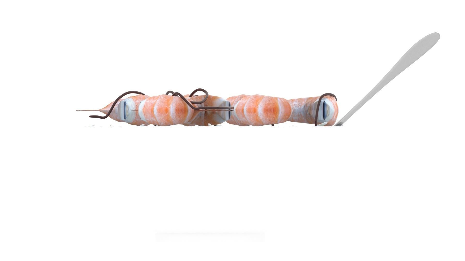 Rice With Shrimps 3D model_18
