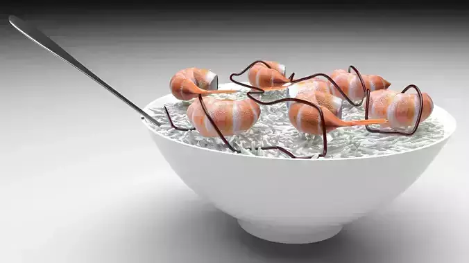 Rice With Shrimps 3D model