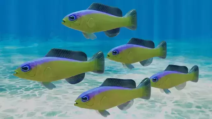 Purple Stripe Dottyback Fish 3D model