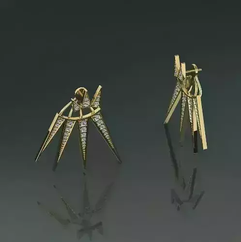 Earrings N012494