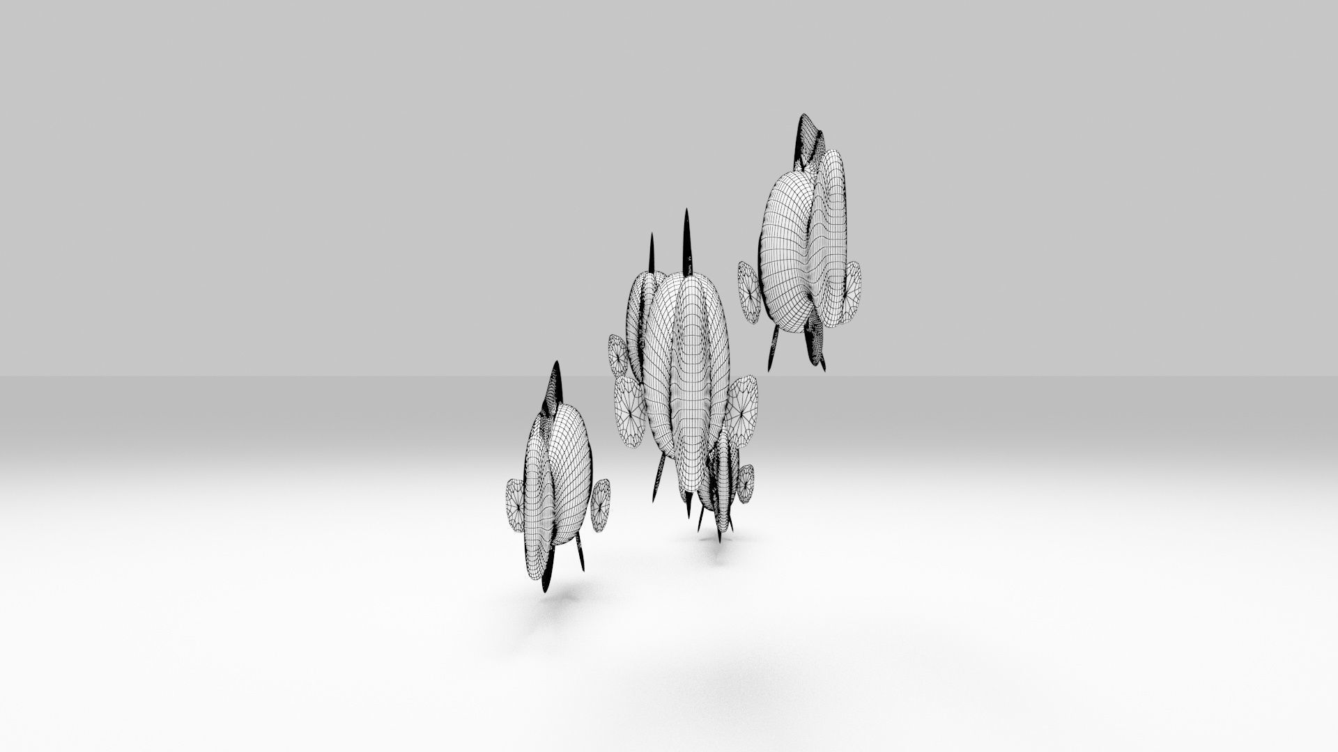 Yellow Dottyback Fish 3D model_7