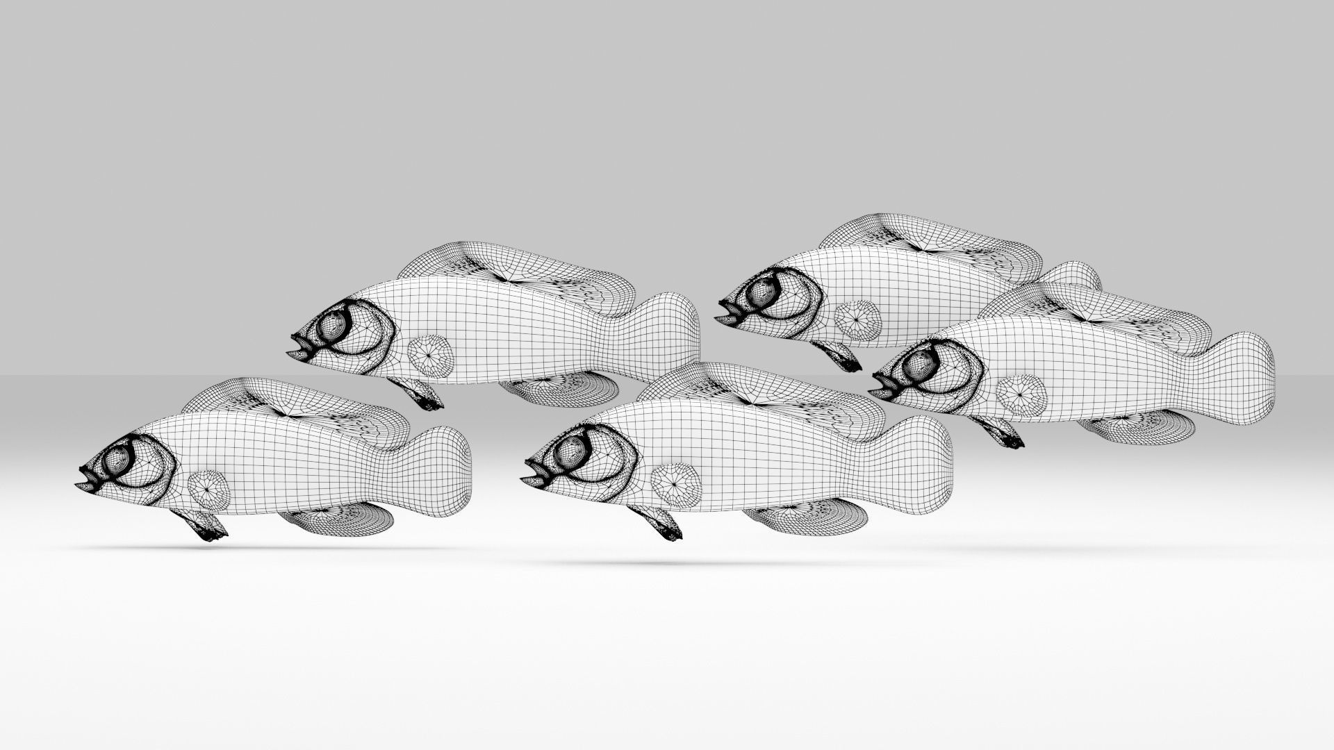 Yellow Dottyback Fish 3D model_6