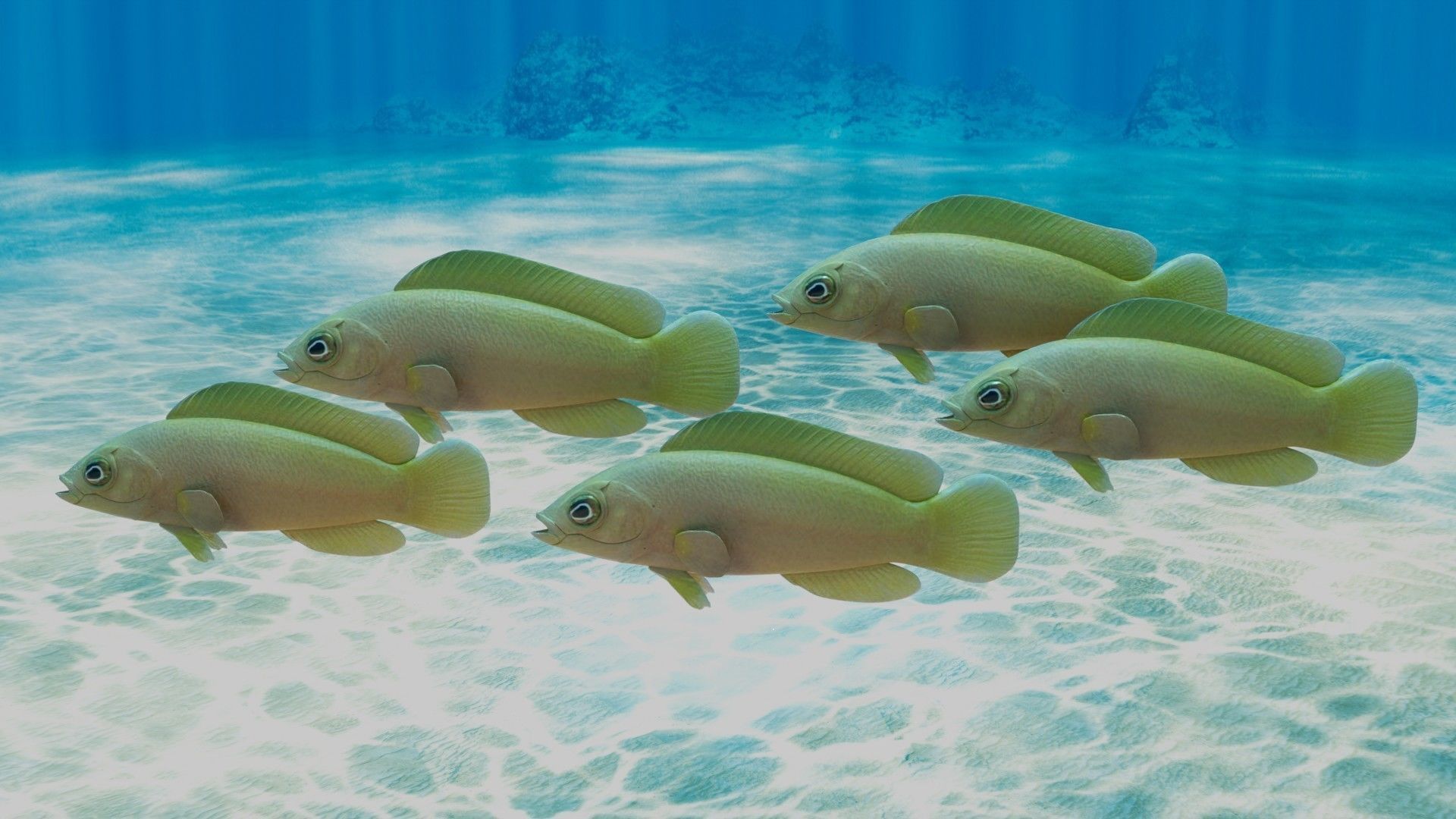 Yellow Dottyback Fish 3D model_1