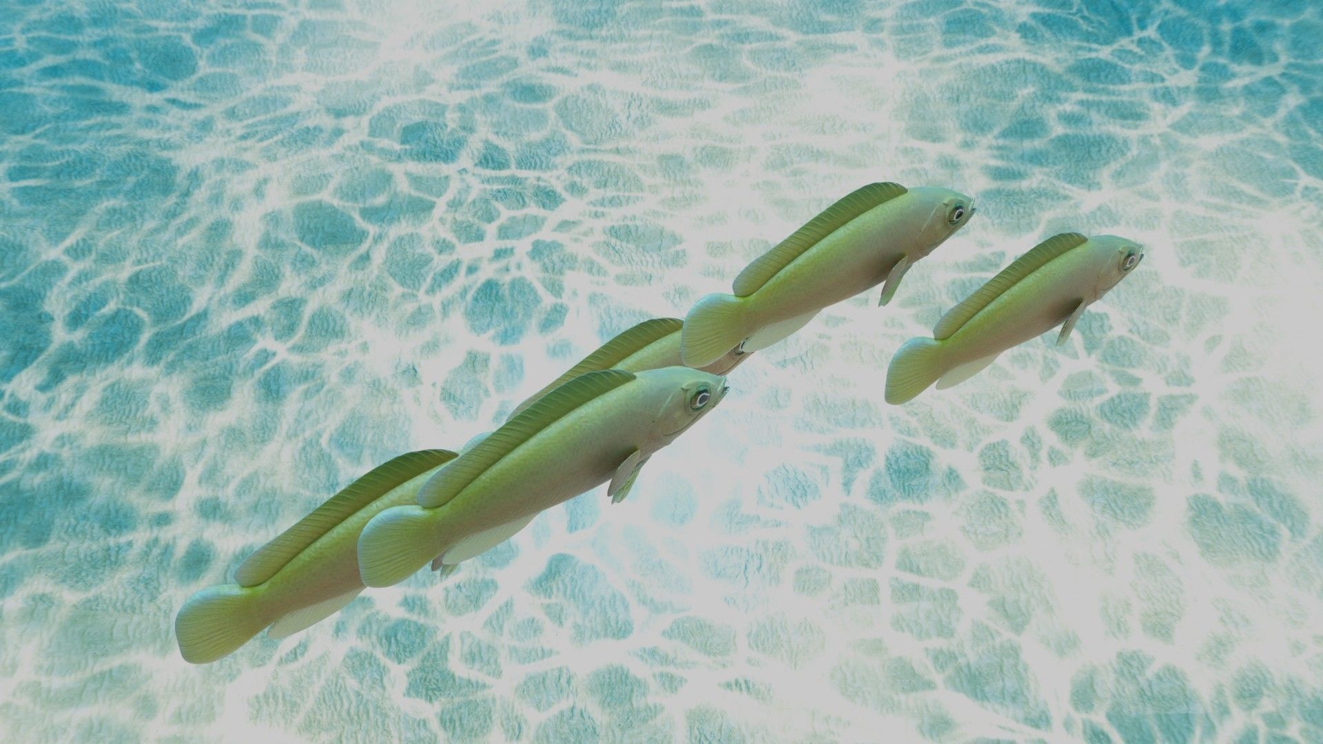 Yellow Dottyback Fish 3D model_3