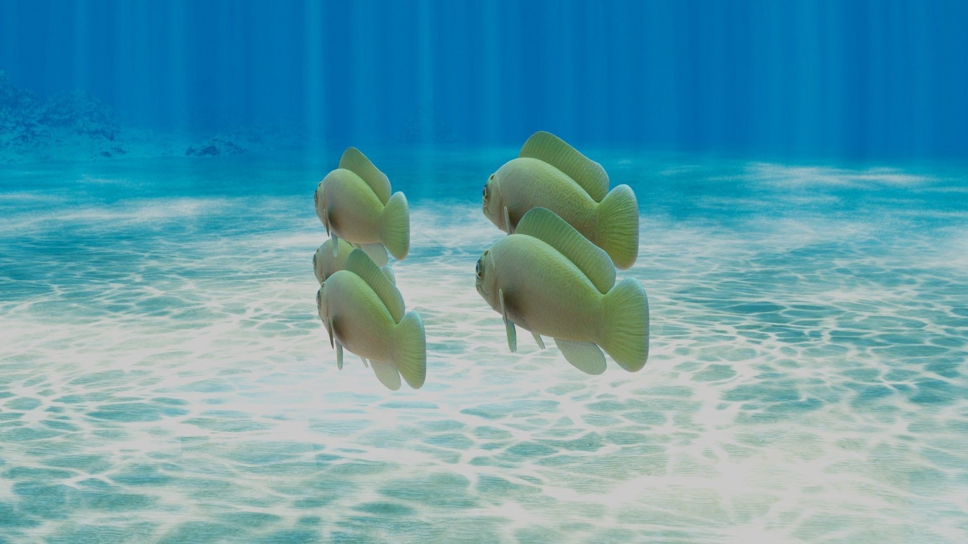 Yellow Dottyback Fish 3D model_2