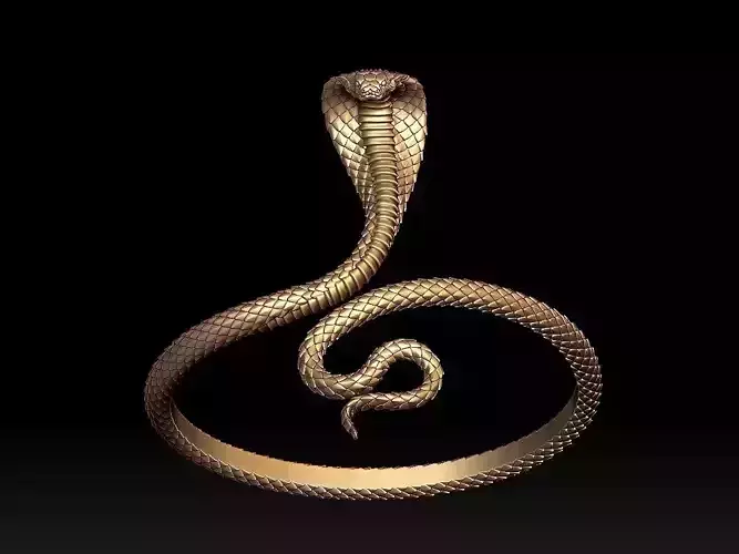 COBRA BRACELET 3D print model