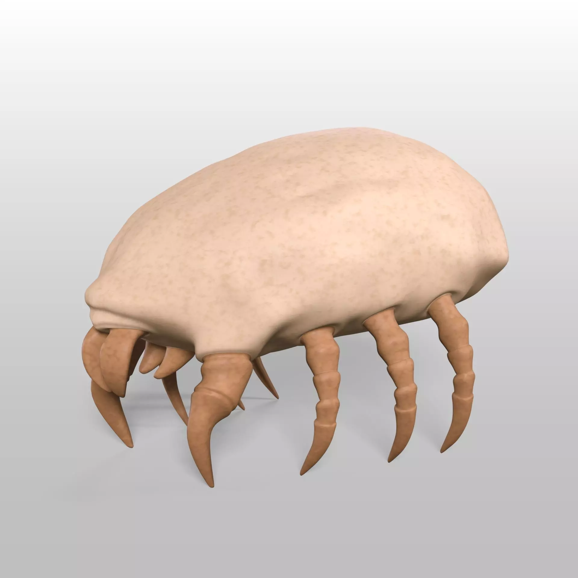 Dust Mite Low-poly 3D model