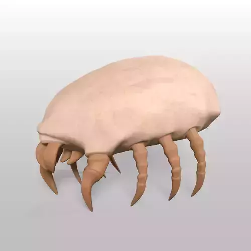 Dust Mite Low-poly 3D model